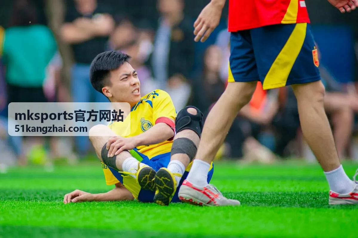 mksports官方网站智能计数跳绳推荐